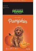 Prama buttery pumpkin delecacy snack for dogs 70 gm